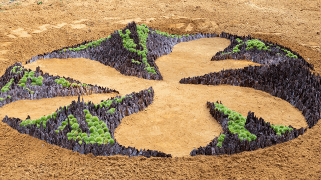 Land Art: winnaar publieksprijs Nature Art 2024, Halle / winner of the people's choice award Nature Art 2024, Halle