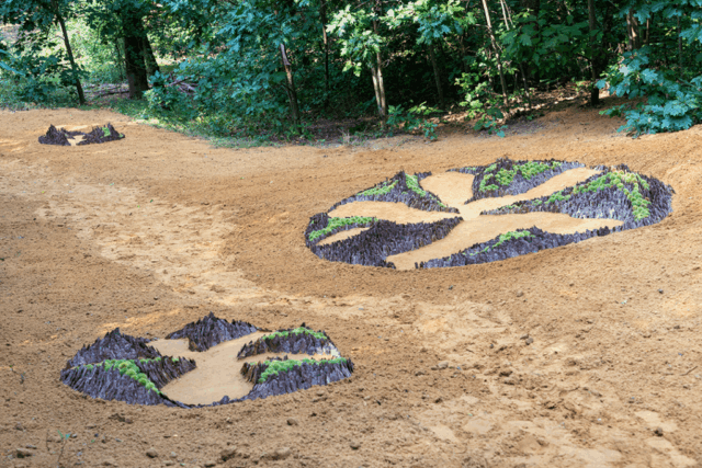 Land Art: winnaar publieksprijs Nature Art 2024, Halle / winner of the people's choice award Nature Art 2024, Halle