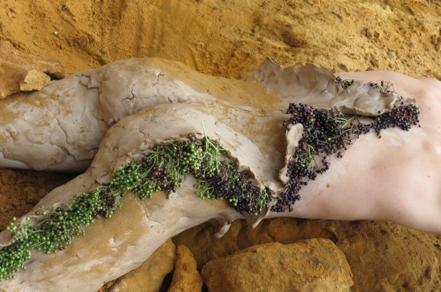 Land Art: lichaam bedekt met klei, zand en bessen / body covered with clay, sand and berries