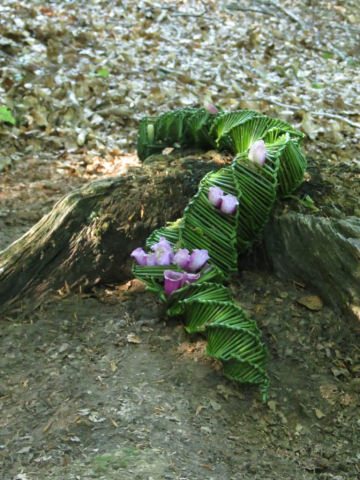 Land Art: gevlochten gras / braided grass