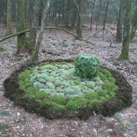 Land Art: in het bos met mos / in the woods with moss