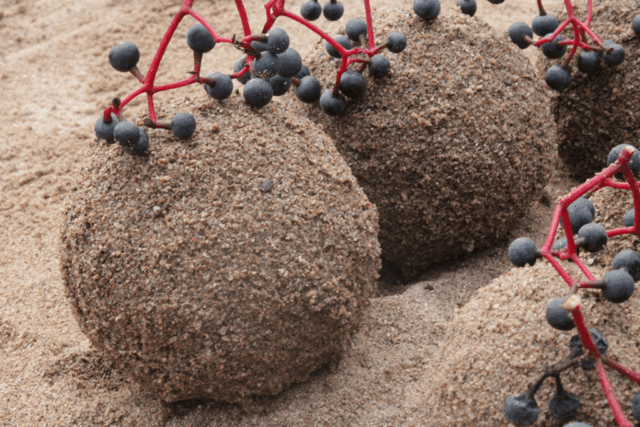 Land Art: zand bollen met bessen / sand globes with berries