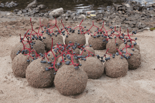 Land Art: zand bollen met bessen / sand globes with berries