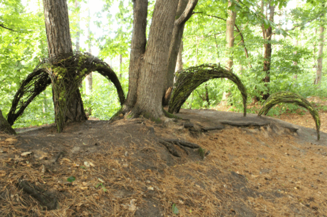Land Art: winnaar tweede juryprijs Nature Art 2025, Halle / winner of the jury's second price Nature Art 2025, Halle