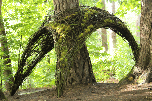 Land Art: winnaar tweede juryprijs Nature Art 2025, Halle / winner of the jury's second price Nature Art 2025, Halle
