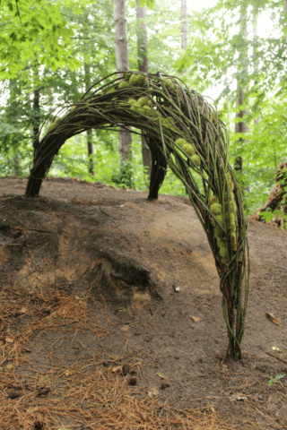 Land Art: winnaar tweede juryprijs Nature Art 2025, Halle / winner of the jury's second price Nature Art 2025, Halle