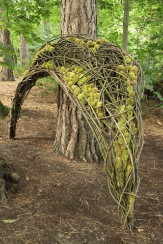 Land Art: winnaar tweede juryprijs Nature Art 2025, Halle / winner of the jury's second price Nature Art 2025, Halle
