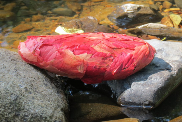 Land Art: steen bekleed met rood blad / stone covered with red leaves