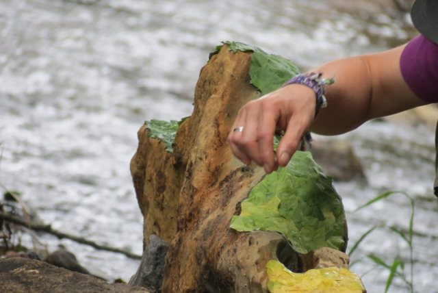 Land Art: steen bedekt met blad op kleur / stone covered with leaves