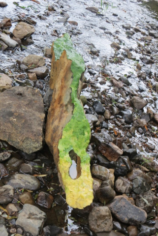 Land Art: steen bedekt met blad op kleur / stone covered with leaves