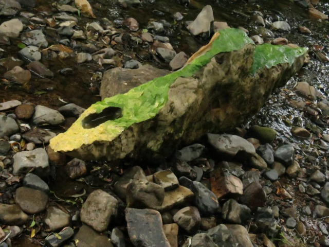 Land Art: steen bedekt met blad op kleur / stone covered with leaves